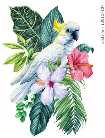 Beautiful tropical bird. Cockatoo parrot, flowers and leaf in isolated background. Watercolor illustration hand drawing Beautiful tropical bird. Cockatoo parrot, flowers and leaf in isolated background. Watercolor illustration hand drawing 130157107