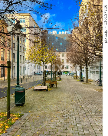 Scenic view of cobblestone street in downtown brussels with trees and benches Scenic view of cobblestone street in downtown brussels with trees and benches 130157216