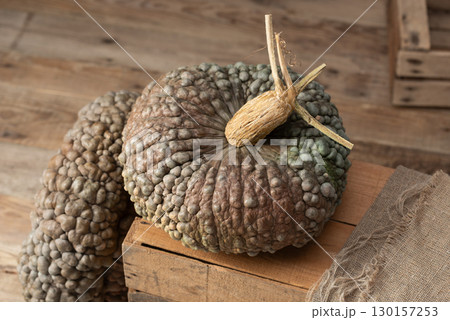 Marina Di Chioggia Pumpkin on Rustic Wooden Crate Marina Di Chioggia Pumpkin on Rustic Wooden Crate 130157253