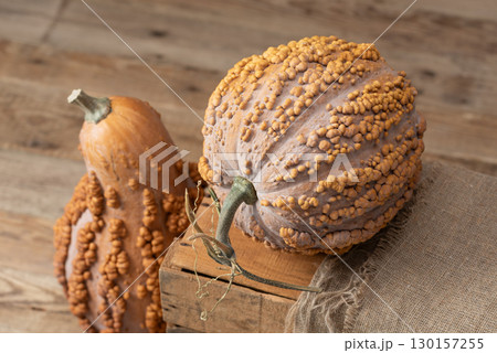 Musquee de Maroc Pumpkins Rustic Farmhouse Display Musquee de Maroc Pumpkins Rustic Farmhouse Display 130157255