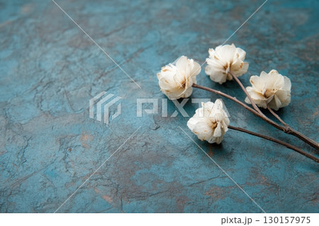 Delicate white flowers arranged on a textured blue background for artistic display and inspiration Delicate white flowers arranged on a textured blue background for artistic display and inspiration 130157975