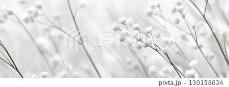 Beautiful white flowers sway gently in a soft breeze during a serene afternoon 130158034