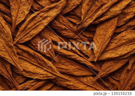 Dried tobacco leaves with rich golden brown textures create agricultural product background, showcasing natural veins and wrinkles in warm earthy tones 130158238
