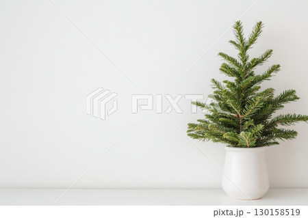 Small evergreen tree in a white pot placed on a light background in a cozy indoor setting 130158519