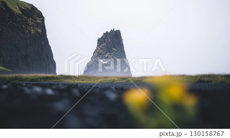 Beautiful coastal landscape features towering cliffs and distant rock formations during a foggy day in Iceland Beautiful coastal landscape features towering cliffs and distant rock formations during a foggy day in Iceland 130158767