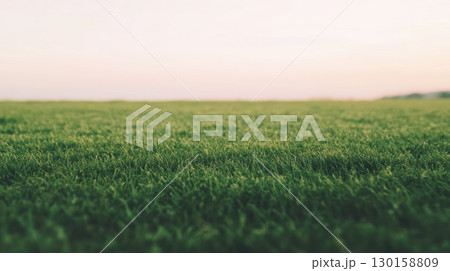 Vast green field under a clear sky during sunset at a rural location 130158809