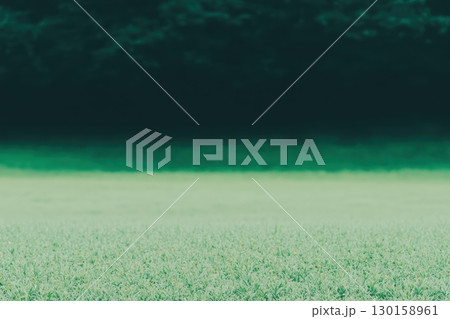 Lush green grass field with a dark tree line in the background during a calm and serene afternoon 130158961
