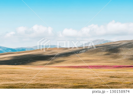 Colorful wildflowers bloom on grassy plains under a bright blue sky in a scenic mountainous landscape 130158974