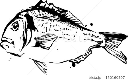 鯛の墨絵イラスト 130160307