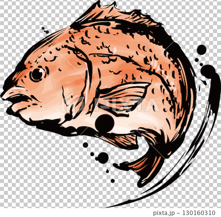 鯛魚水墨畫插圖 130160310