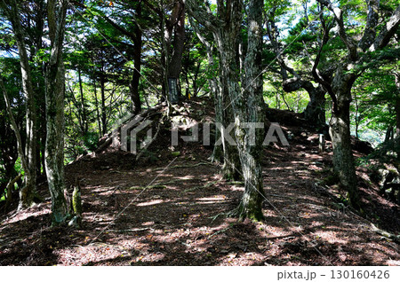 御坂山地の城山(本栖城跡) 武田最前線史跡公園 城山跡(のろし台) 御坂山地の城山(本栖城跡) 武田最前線史跡公園 城山跡(のろし台) 130160426