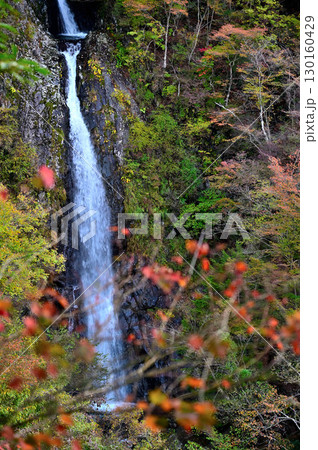 天子山地の毛無山 毛無山ルート 不動の滝見晴台から眺める紅葉纏う不動ノ滝 天子山地の毛無山 毛無山ルート 不動の滝見晴台から眺める紅葉纏う不動ノ滝 130160429