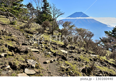 天子山地 毛無山の縦走路から望む富士山 天子山地 毛無山の縦走路から望む富士山 130160440