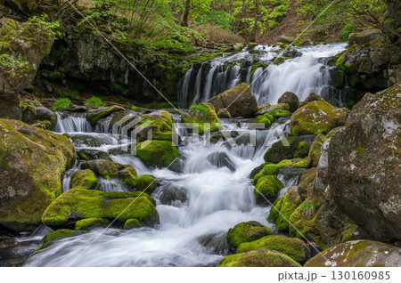 新緑に囲まれた蓼科大滝と滝ノ湯川の流れ 新緑に囲まれた蓼科大滝と滝ノ湯川の流れ 130160985