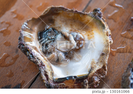Fresh oyster opened on wooden surface ready to eat seafood Fresh oyster opened on wooden surface ready to eat seafood 130161066