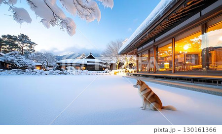 雪景色の中、和風建築を見つめる犬の静かな時間 130161366