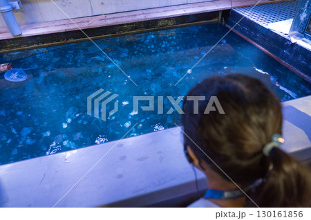 加茂水族館のバックヤードツアー（クラゲドリームシアターの直上） 130161856