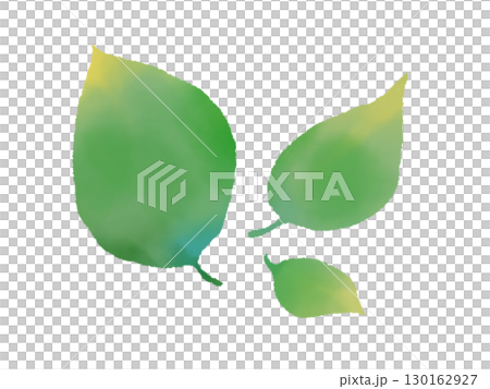 水彩風格的葉子 水彩風格的葉子 130162927