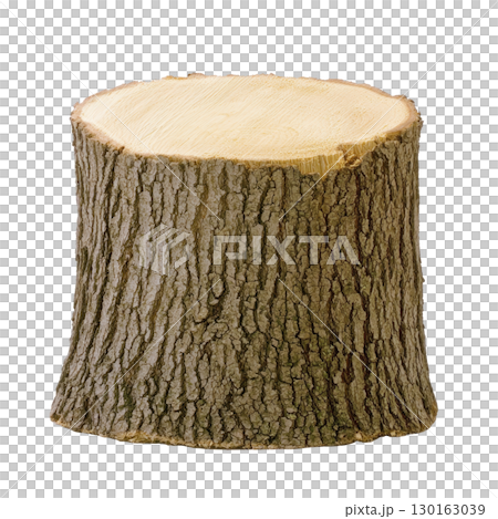 A tree stump with rough bark and smooth, flat top surface, isolated on transparency background. texture of bark contrasts with clean cut of top, showcasing natural wood patterns 130163039