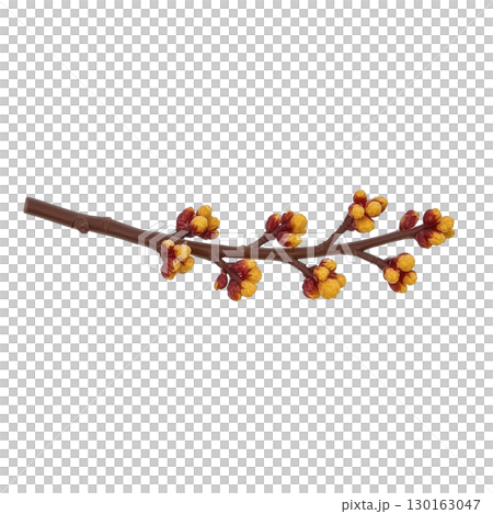 A branch with vibrant orange and red buds, resembling autumn colors, isolated on transparency background. image captures essence of nature beauty and seasonal change 130163047