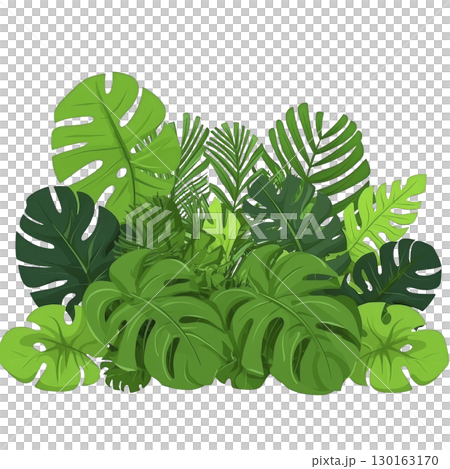 A collection of vibrant green tropical leaves, including monstera and palm, creates lush and lively jungle atmosphere. diverse shapes and shades of green add depth and texture 130163170