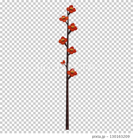 A tall, slender branch adorned with vibrant red flowers and yellow centers, creating striking and elegant appearance. blossoms are evenly spaced along dark stem A tall, slender branch adorned with vibrant red flowers and yellow centers, creating striking and elegant appearance. blossoms are evenly spaced along dark stem 130163209