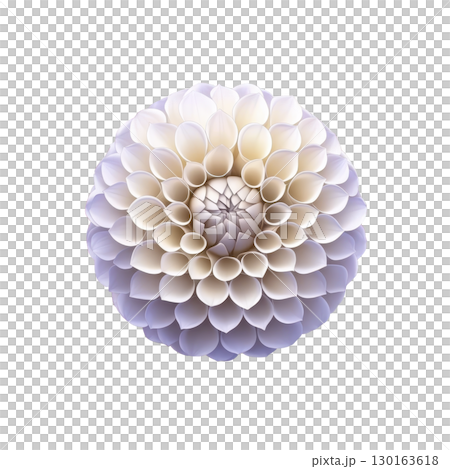 A close up of symmetrical dahlia flower with soft white and purple petals, showcasing its intricate and delicate structure against transparency background 130163618