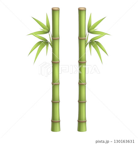A Two vibrant green bamboo stalks stand tall, each adorned with lush leaves, symbolizing strength and resilience. image captures natural beauty and simplicity of bamboo 130163631