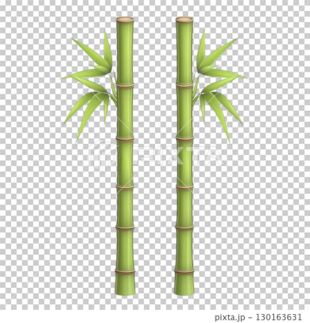 A Two vibrant green bamboo stalks stand tall, each adorned with lush leaves, symbolizing strength and resilience. image captures natural beauty and simplicity of bamboo 130163631