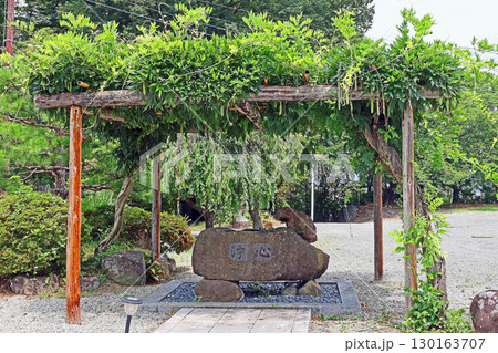 願成寺(韮崎) 願成寺(韮崎) 130163707