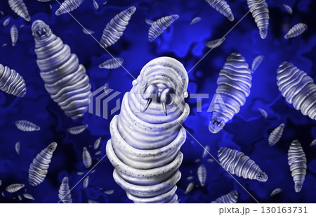 Screwworm Outbreak 130163731