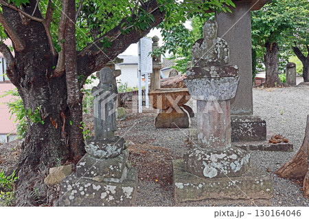 光照寺(甲斐) 光照寺(甲斐) 130164046