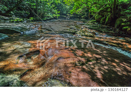 新緑に映える藤河内渓谷　大分県佐伯市 130164127