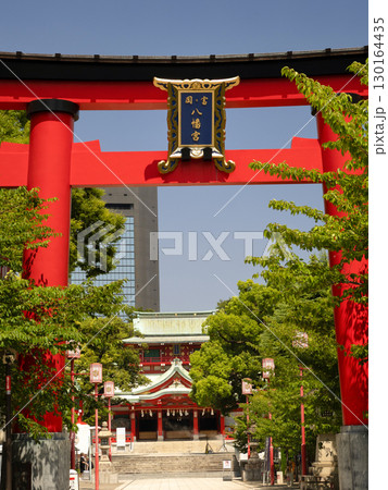 富岡八幡宮 東京都 富岡八幡宮 東京都 130164435