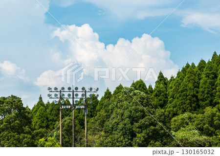夏空に映える野球場の照明設備と豊かな森林の風景 130165032
