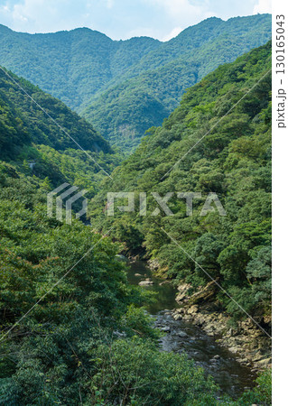 夏の緑が美しい宮崎県綾町の照葉樹林と渓谷 夏の緑が美しい宮崎県綾町の照葉樹林と渓谷 130165043