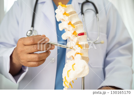 Doctor with lumbar vertebra bone skeleton and nerve model for treatment in the orthopedic department. Doctor with lumbar vertebra bone skeleton and nerve model for treatment in the orthopedic department. 130165170