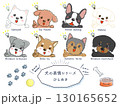 犬種別表情シリーズ　ひらめき 130165652