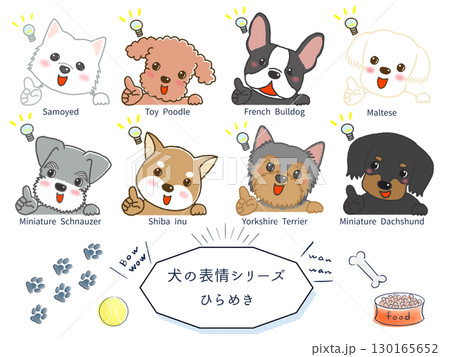 犬種別表情シリーズ ひらめき 犬種別表情シリーズ ひらめき 130165652