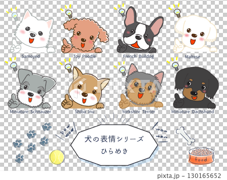 犬種別表情シリーズ ひらめき 犬種別表情シリーズ ひらめき 130165652