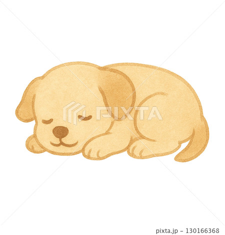 眠っている子犬のイラスト 130166368