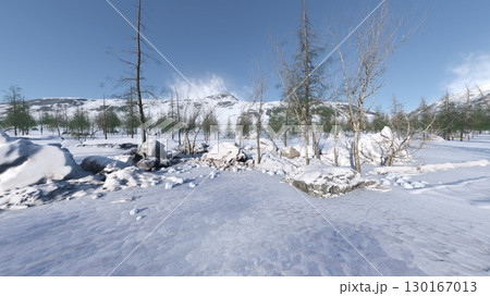 雪原 130167013