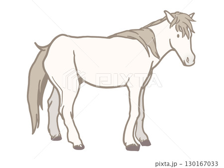 野間馬 馬 芦毛 日本の馬のイラスト素材 [130167033] - PIXTA