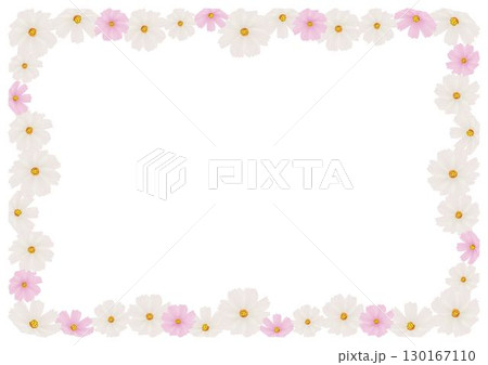 コスモス白フレーム コスモス白フレーム 130167110