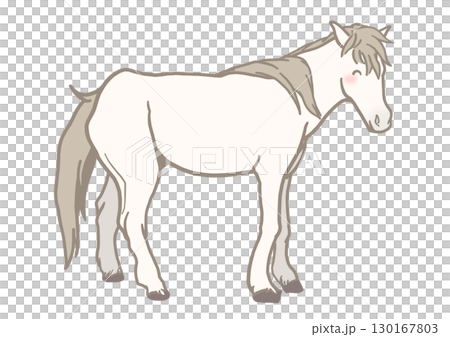Smiling Horse Noma Horse, Gray, Japanese Horse Smiling Horse Noma Horse, Gray, Japanese Horse 130167803