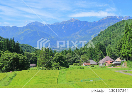 白馬の夏 青鬼の棚田から望む北アルプス 白馬の夏 青鬼の棚田から望む北アルプス 130167844