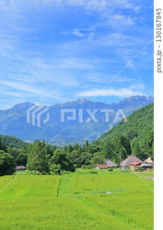 白馬の夏 青鬼の棚田から望む北アルプス 白馬の夏 青鬼の棚田から望む北アルプス 130167845