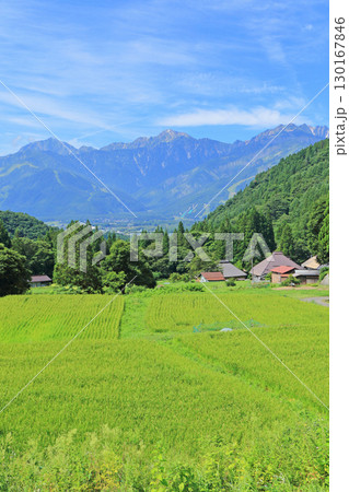 白馬の夏 青鬼の棚田から望む北アルプス 白馬の夏 青鬼の棚田から望む北アルプス 130167846