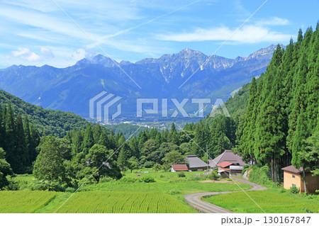 白馬の夏　青鬼の棚田から望む北アルプス 130167847