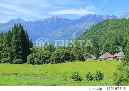 白馬の夏　青鬼の棚田から望む北アルプス 130167848